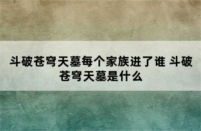 斗破苍穹天墓每个家族进了谁 斗破苍穹天墓是什么